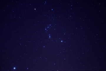 Obraz premium Winter stars on the sky