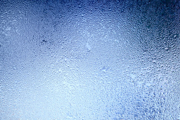 Drops of water on a window glass