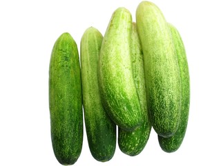 Green cucumber