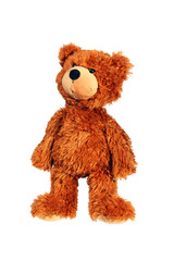Standing teddy bear isolated over white with clipping path