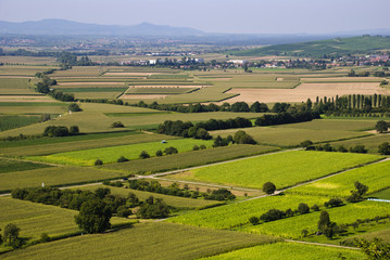 Fototapeta na wymiar Aricultural landscape, fields, south Germany