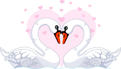 Swans in love