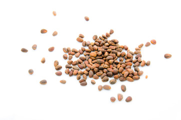 pine nuts on white isolated on white