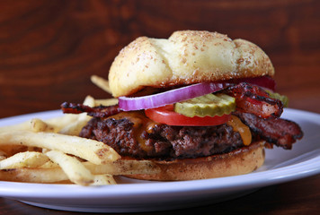 burger with fries