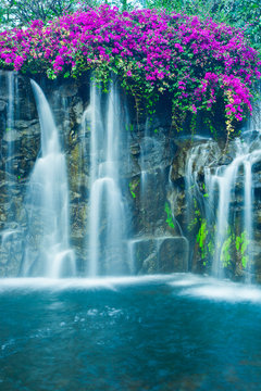 Fototapeta Waterfall