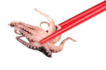 octopus in the chopstick
