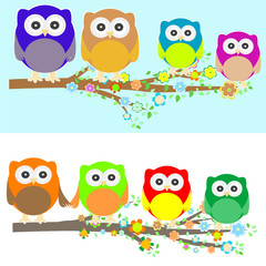Fototapeta premium Family of owls sat on a tree branch at night and day