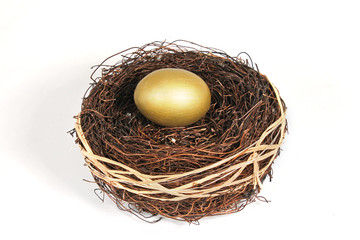 Golden nest egg on white