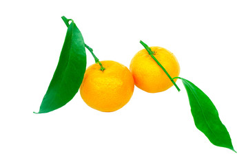 Two tangerines on a white background