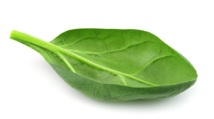 Fresh spinach