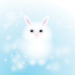 Fototapeta na wymiar Lovely white bunny / Snow background