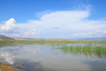 lake under blue sky