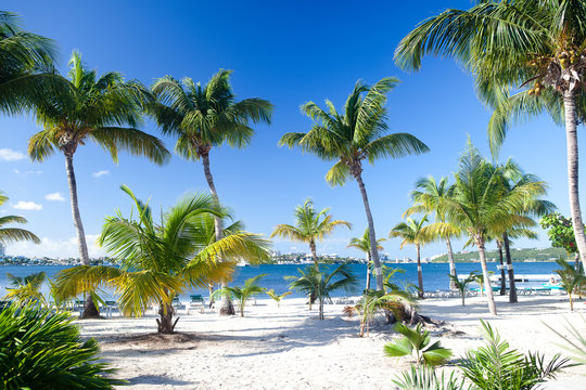 Plage de Baie Nettl&eacute; &agrave; Saint Martin (C&ocirc;t&eacute; Fran&ccedil;ais)