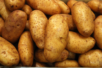 Potato at a market