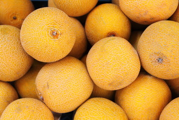 Fresh yellow melons