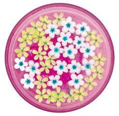 Pretty Flowers Floating in Pink Bowl Isolated on White