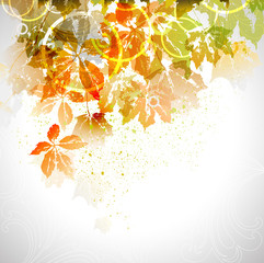 autumn composition - 38373323