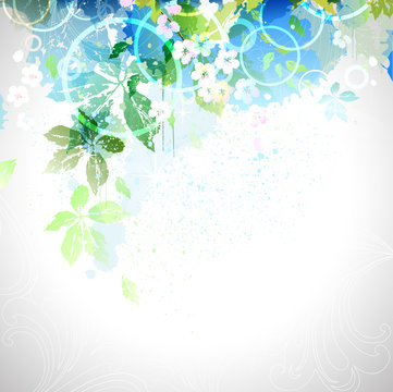 spring composition