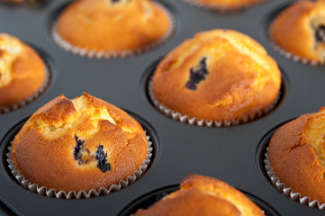 Blueberry tray of muffins background.