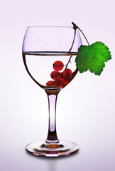 Glas mit roten Johannisbeeren