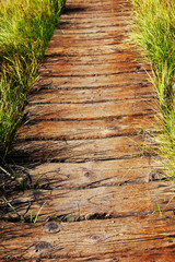 Boardwalk