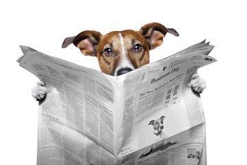 dog reading a newspaper