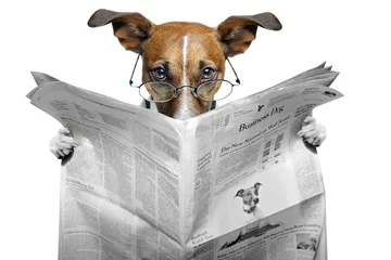 Foto auf Acrylglas Lustiger Hund Hund liest Zeitung