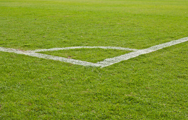 Obraz premium green grass and soccer field corner
