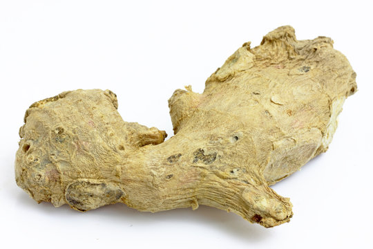 Ginger