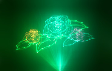 rose of light