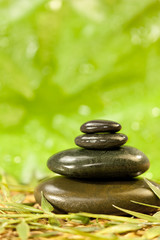 Fototapeta na wymiar Spa Massage Hot Stones in Green Environment