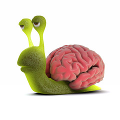 3d Snail has a huge brain - 38382187
