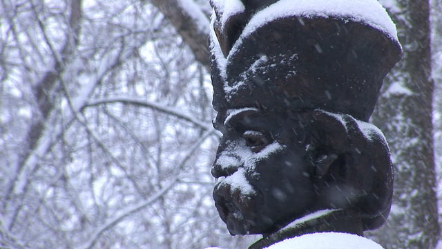 Hetman bust in the snow