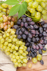 fresh grapes