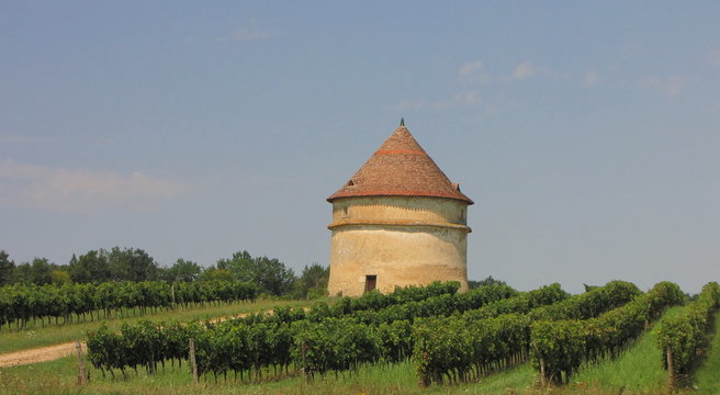 Ch&acirc;teau des Seigneurs de Pommiers ; Gironde ; Aquitaine