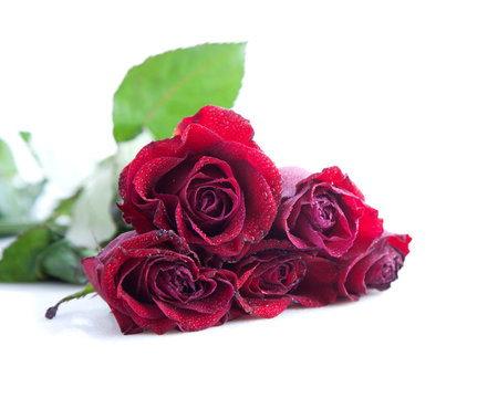 Bouquet of red roses on a white background.