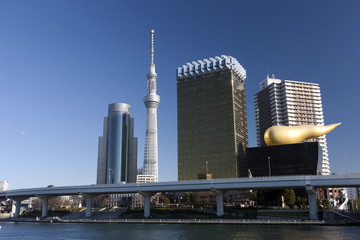 Naklejka premium Tokyo Sky Tree i River Pier Azumabashi