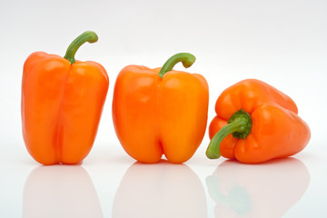Reihe orange Paprika freigestellt vor weissem Hintergrund