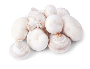 Fototapeta na wymiar White mushrooms isolated on a white