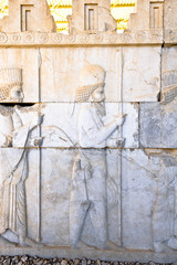 relief of Persepolis in Fars Province, Shiraz, Iran
