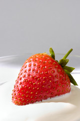 Strawberry in Cream