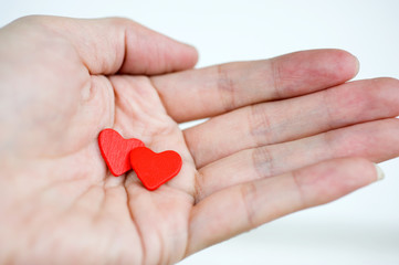 Fototapeta premium heart in the hands