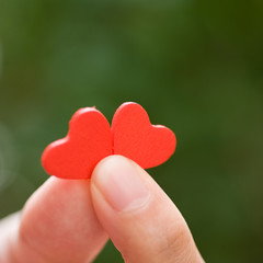 Fototapeta premium heart in the hands