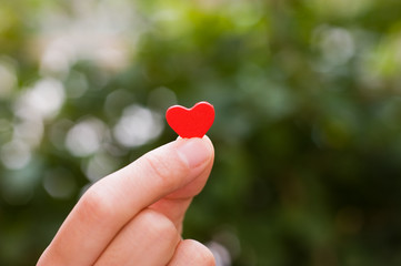 heart in the hands