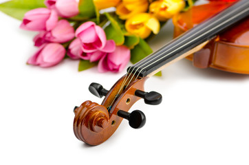 Fototapeta na wymiar Violin and tulip flowers on white
