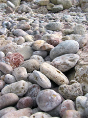 stones on the shore