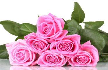 Many pink roses isolated on white