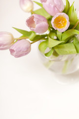 Obraz na płótnie Canvas pink tulips in the vase