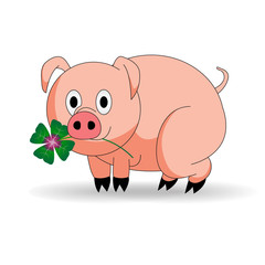 schwein glück kleeblatt