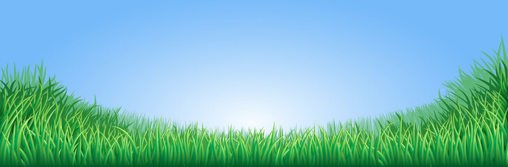 Fototapeta premium Green grass field illustration